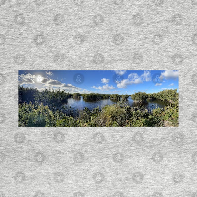 Florida Everglades by Sparkleweather